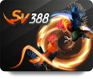 How 789Bet Uy Tín VN Enhances Your Online Betting Experience